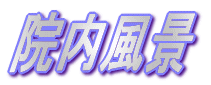 �@�����i 